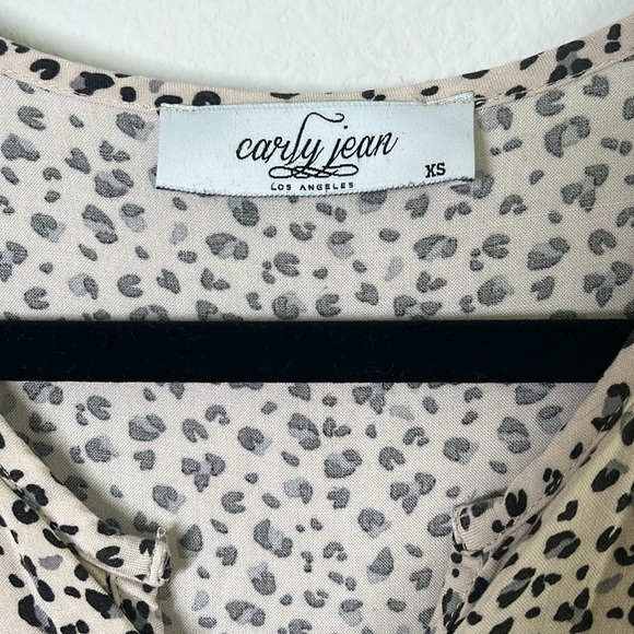 Carly Jean Los Angeles Laurel Cheetah Print Maxi Dress | Size XS - Picture 4 of 9